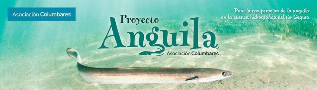 cartel_proyecto_anguila_rec.jpg