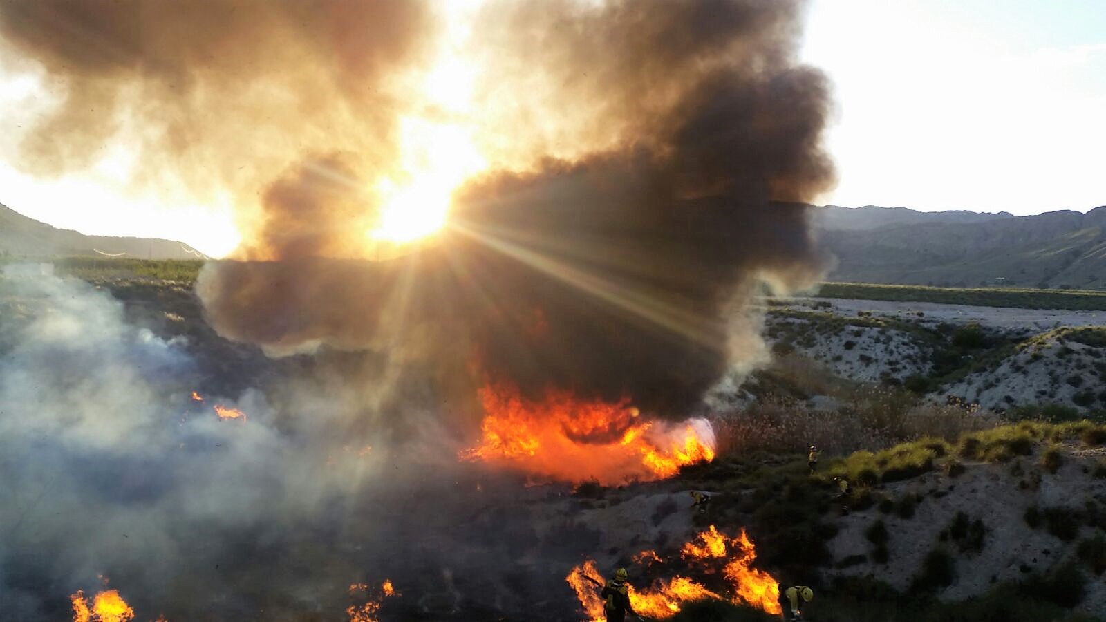 Un momento de los trabajos de extinción del incendio que se declaró ayer tarde en Ojós. Imagen: CARM