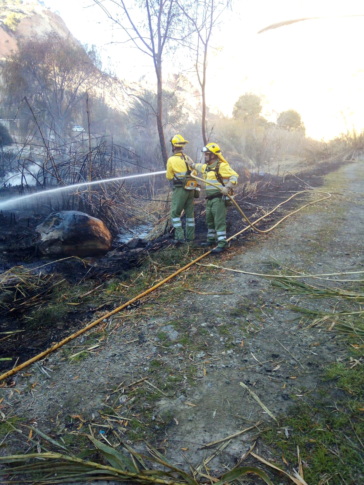 Agentes medioambientales y brigadas forestales refuerzan durante el verano las tareas para la prevención de incendios. Imagen: CARM