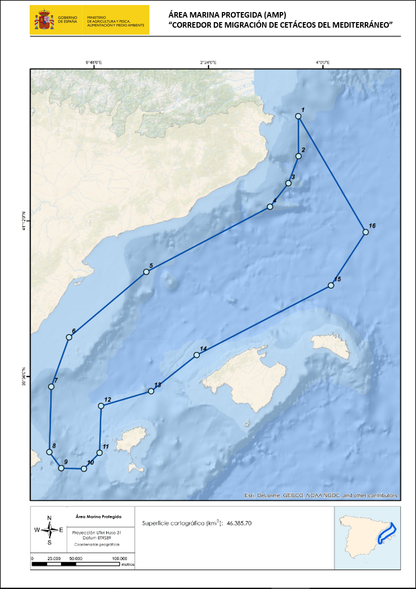 Mapa con la ubicación del Corredor de Cetáceos. Imagen: MTE