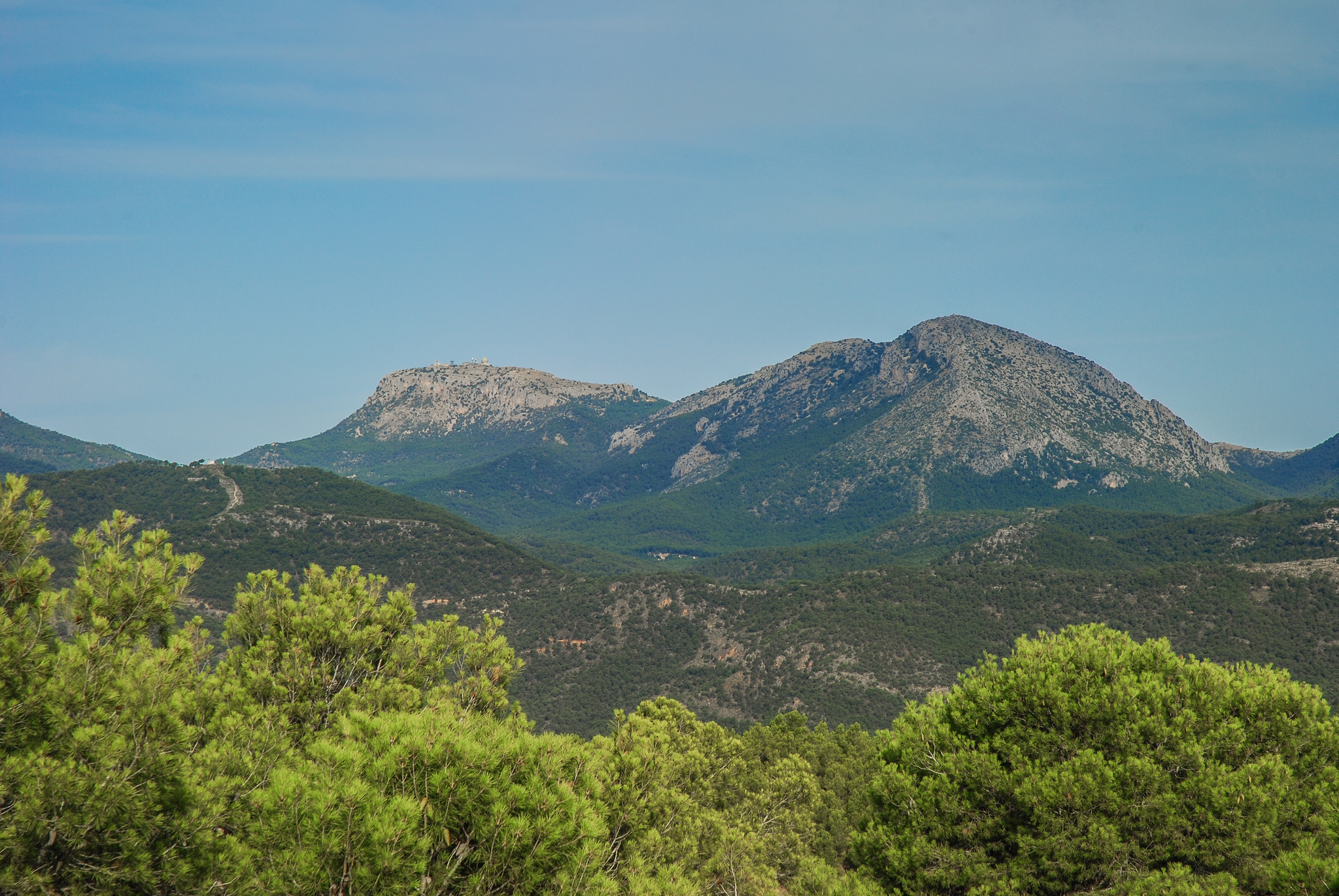 Sierra Espuña, espacio protegido incluido en uno de los Planes de Gestión de la Región de Murcia. Imagen: CARM