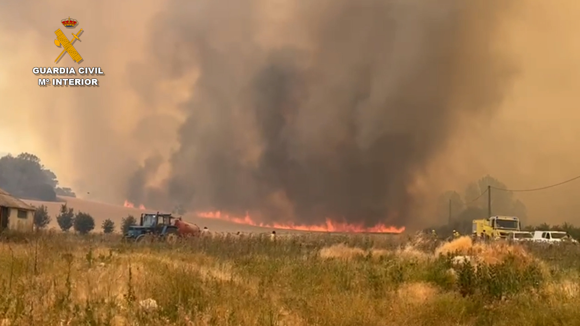 En Sabinares del Arlanza el fuego ha afectado a más de 3.000 hectáreas de monte, arbolado y cereal. Foto: Seprona