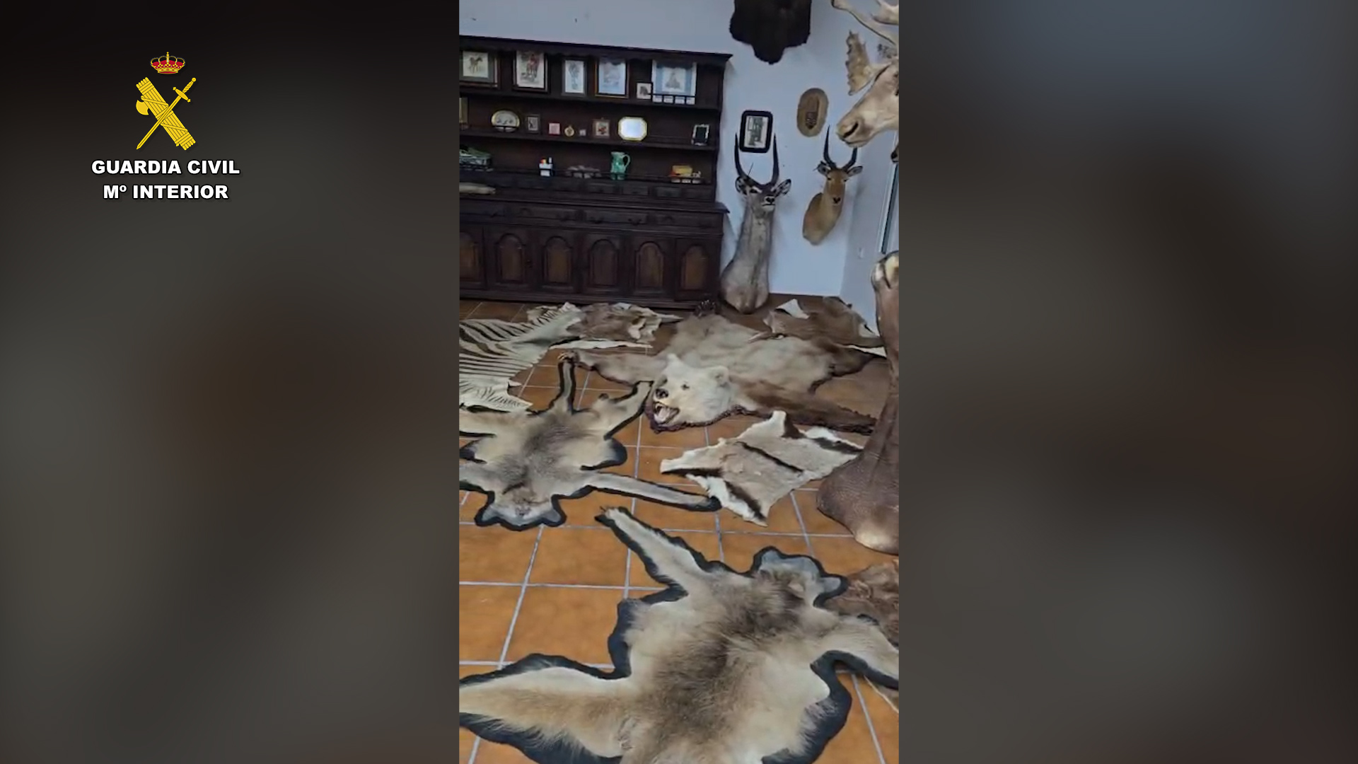 La investigación se inició gracias a la colaboración ciudadana. Foto: Guardia Civil OPC Almeria