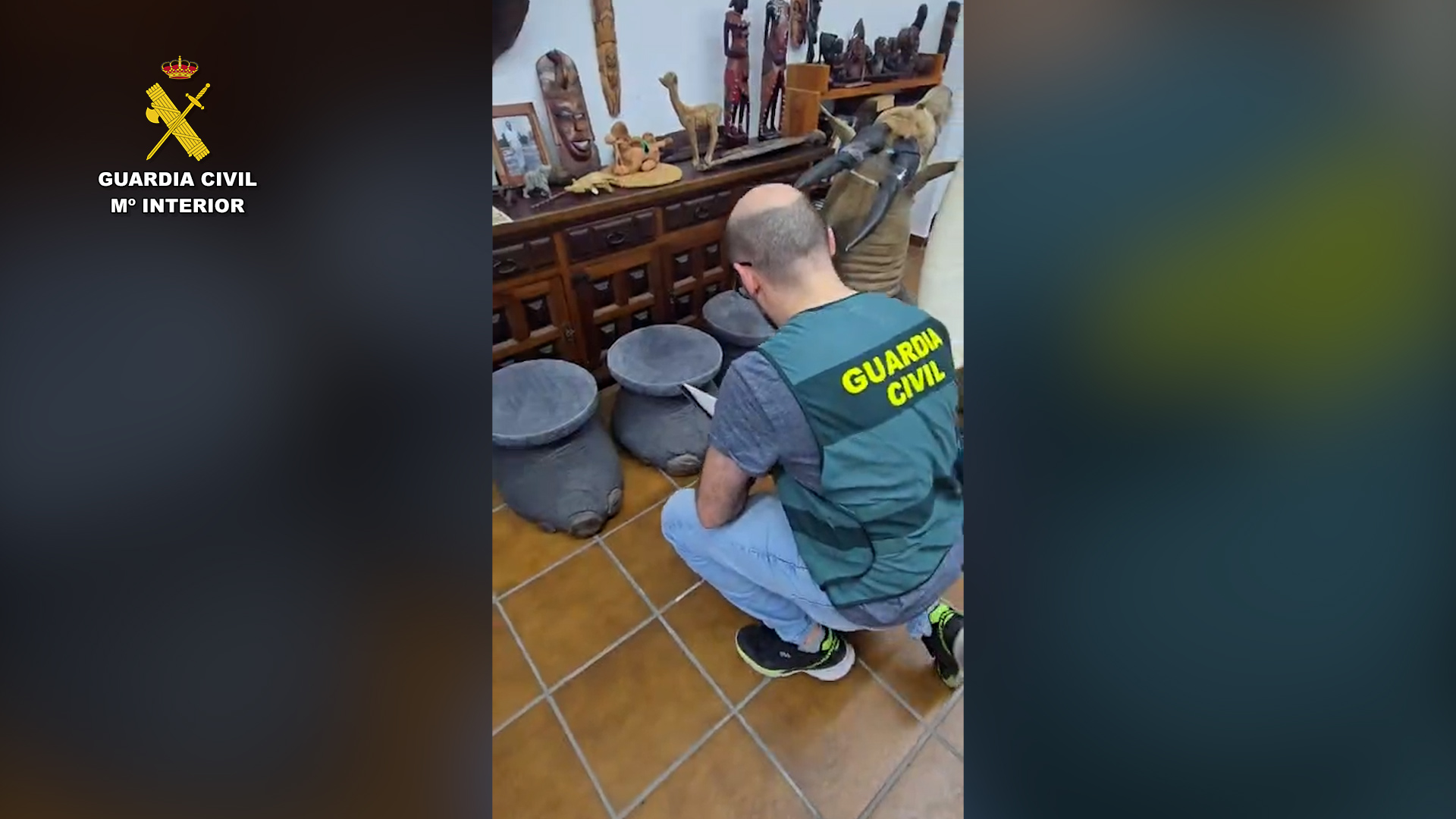 En la vivienda se halló una amplia colección de animales naturalizados. Foto: Guardia Civil OPC Almeria