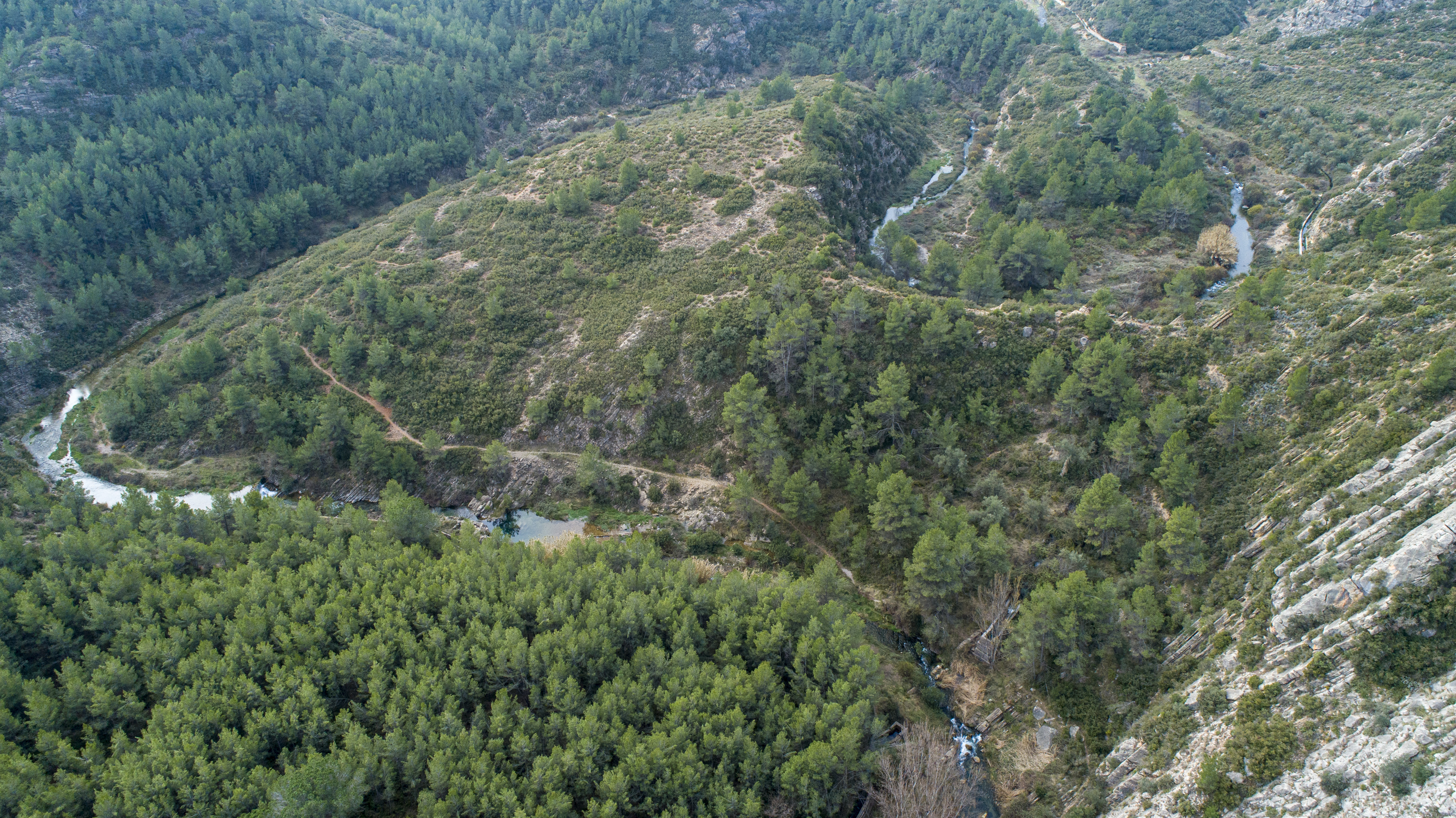 Vista aérea de un meandro del río Palancia. Imagen: Miteco