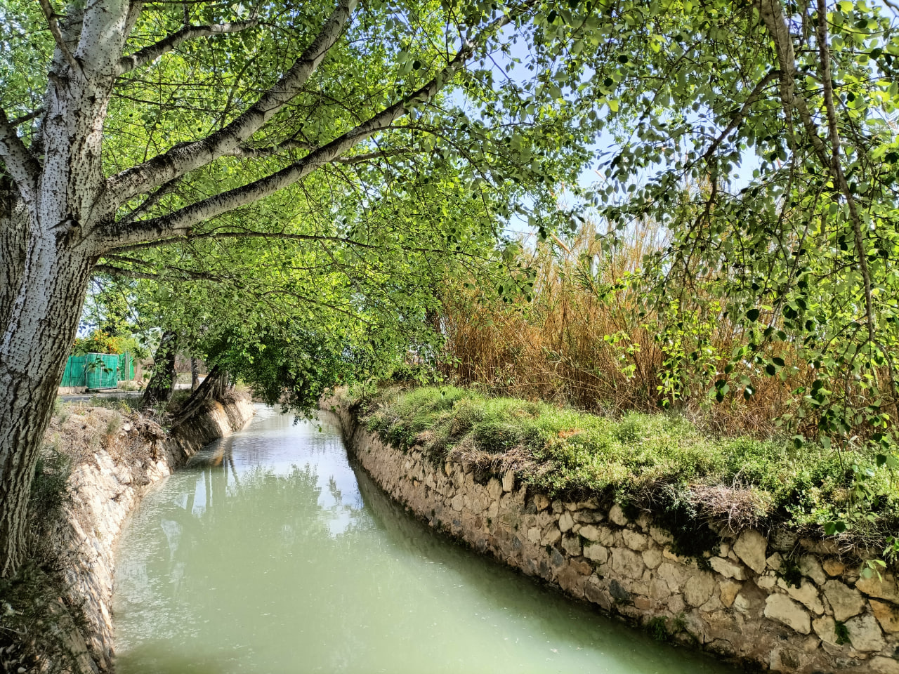 Acequia mayor de Aljufía. Foto: Huermur