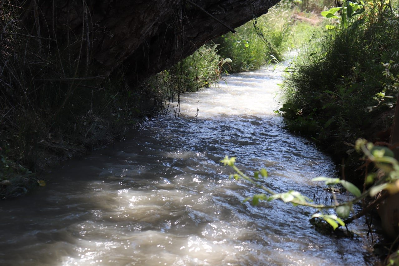 Agua corriendo en la acequia de Alfatego en la huerta de Murcia. Foto: Huermur