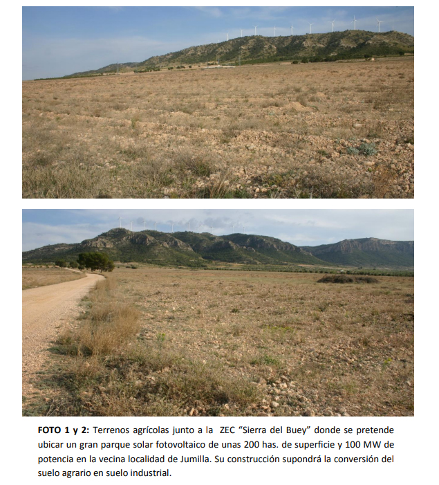 Proyecto sobre suelo forestal. Imagen extraída del informe con las propuestas de Anida Yecla