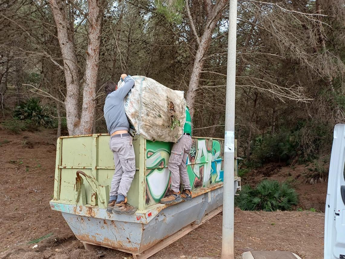 Retirada de EEI a un contenedor, para evitar su expansión. Foto: ANSE