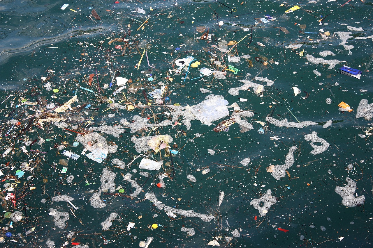 Basuras marinas, en este caso, flotantes. Foto: Pixabay