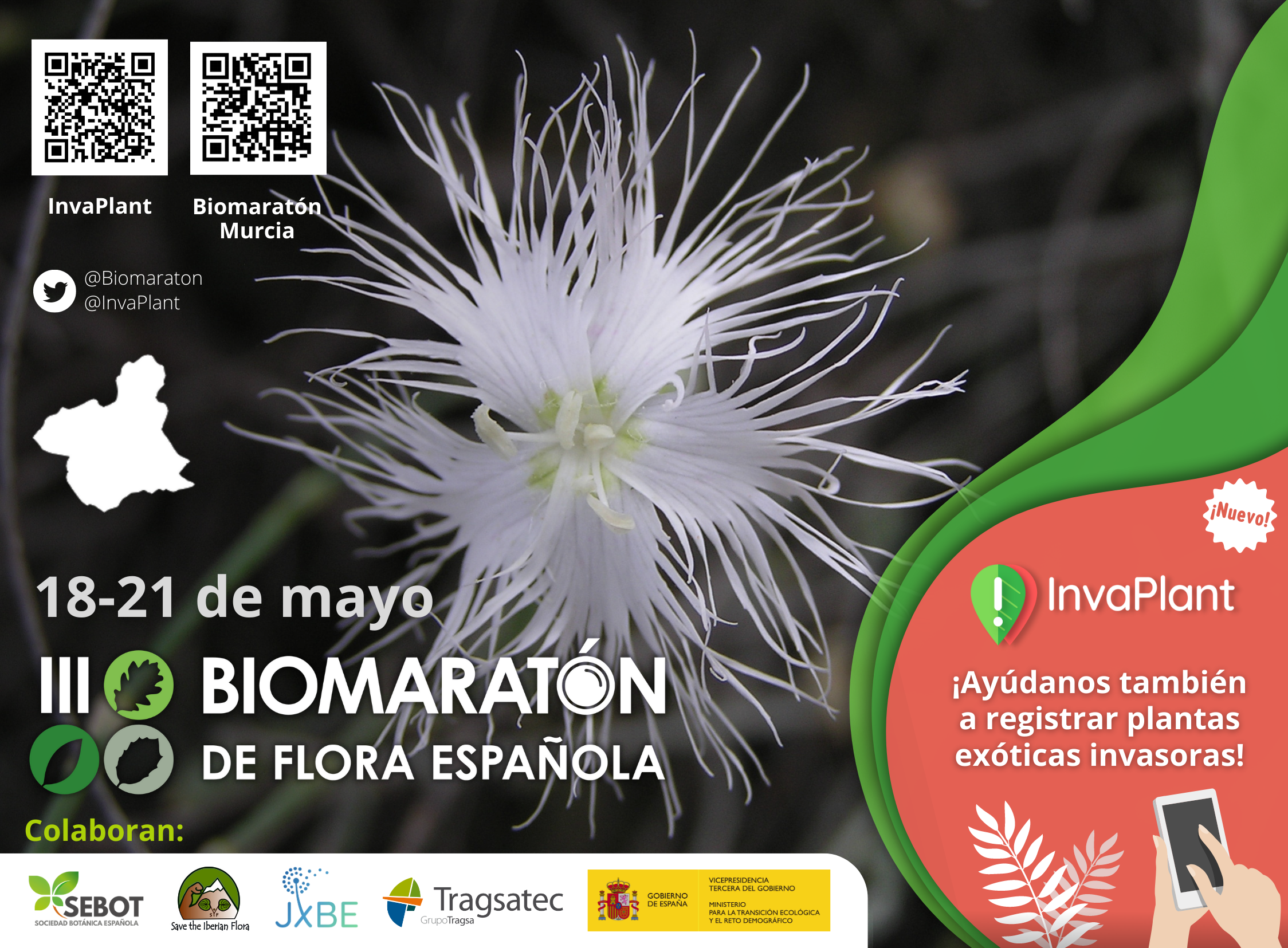 III Biomaratón de Flora Española, de la Sebot