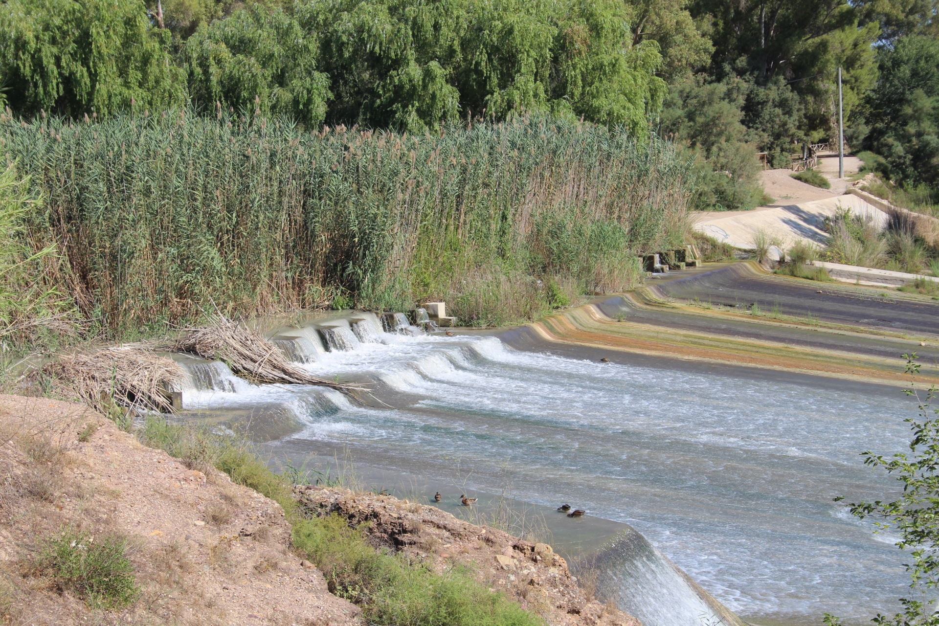 El proyecto busca mejorar el estado ecológico y la capacidad hidráulica de la masa de agua. Foto: CSIC