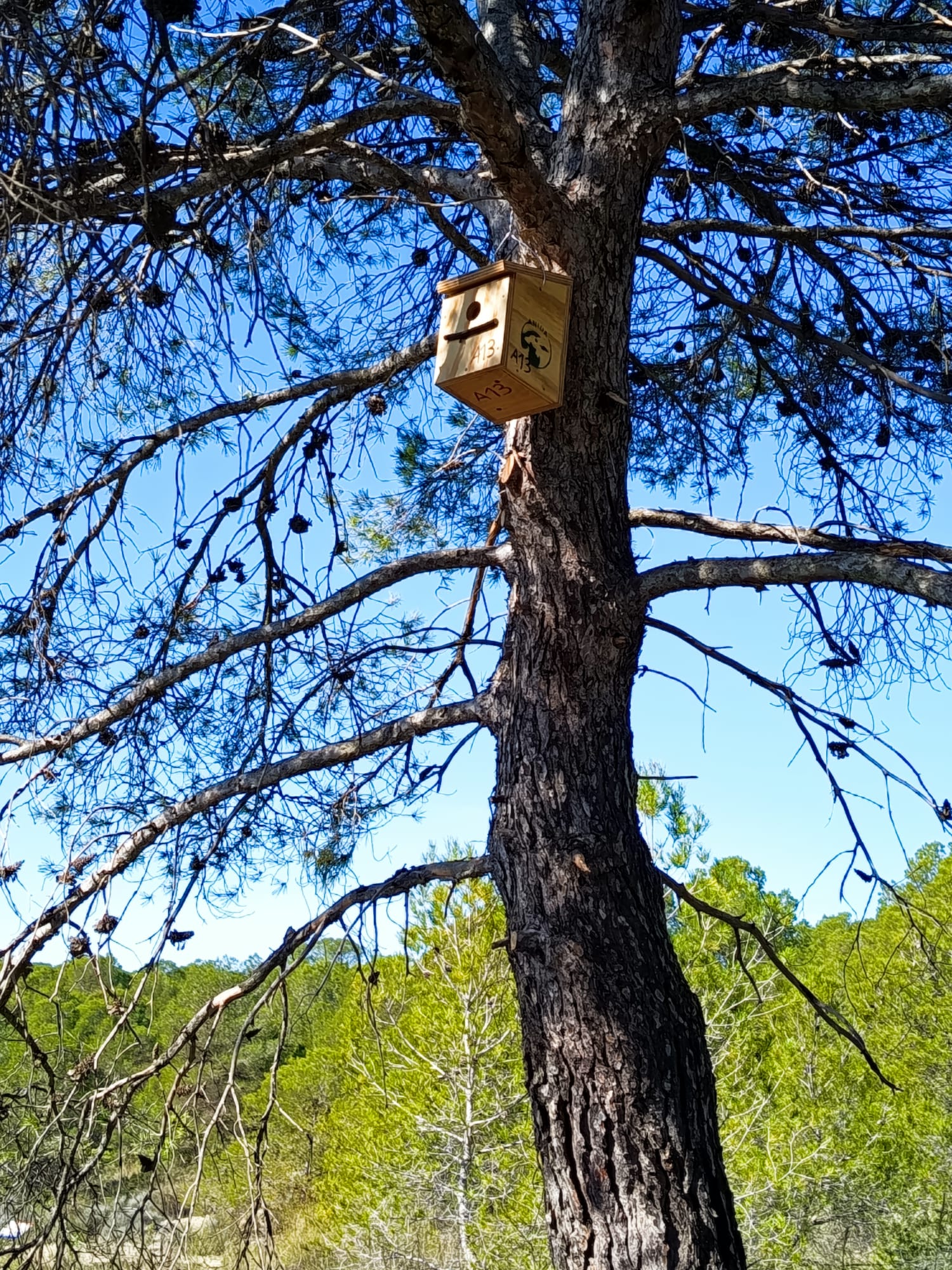 Una de las cajas, instalada en su destino. Foto: ANIDA Yecla