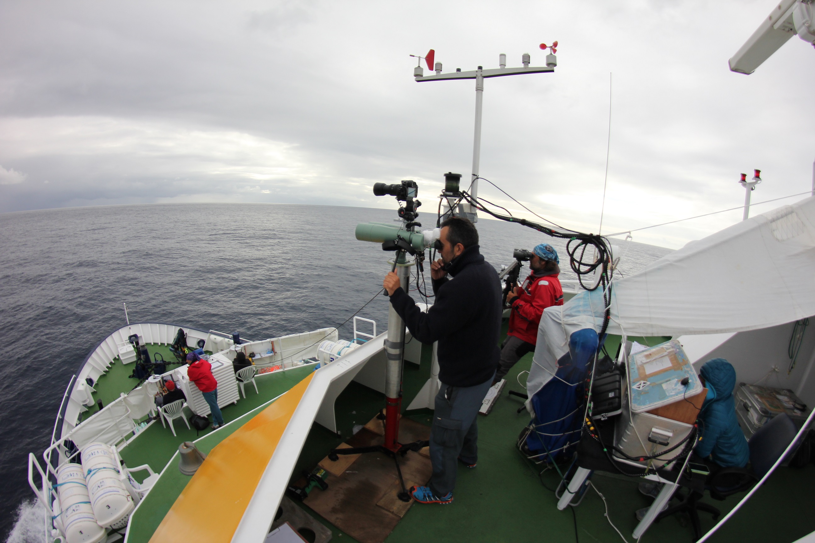 El investigador Camilo Saavedra, a la búsqueda de cetáceos. Foto: IEO-CSIC