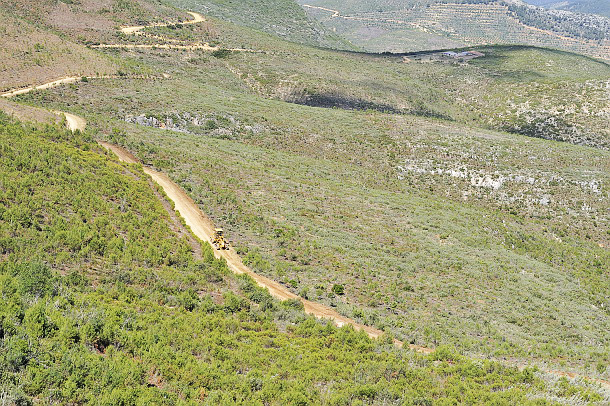 Las actuaciones del proyecto europeo FLoRE se centran en recuperar antiguos cultivos, realizadas en Calasparra . Foto: CARM
