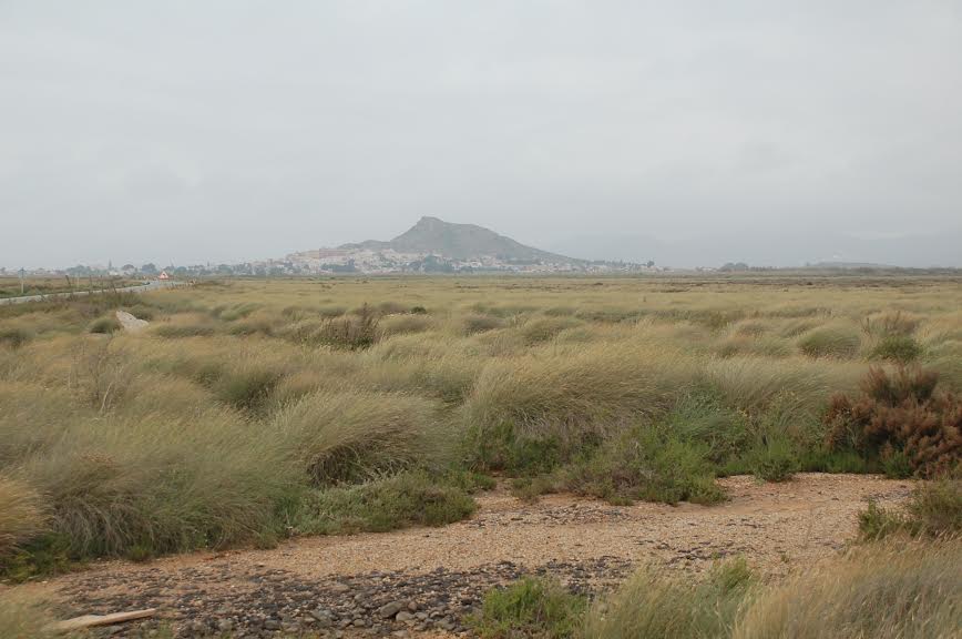 Humedal del Carmolí visto desde el norte. Foto: EEA