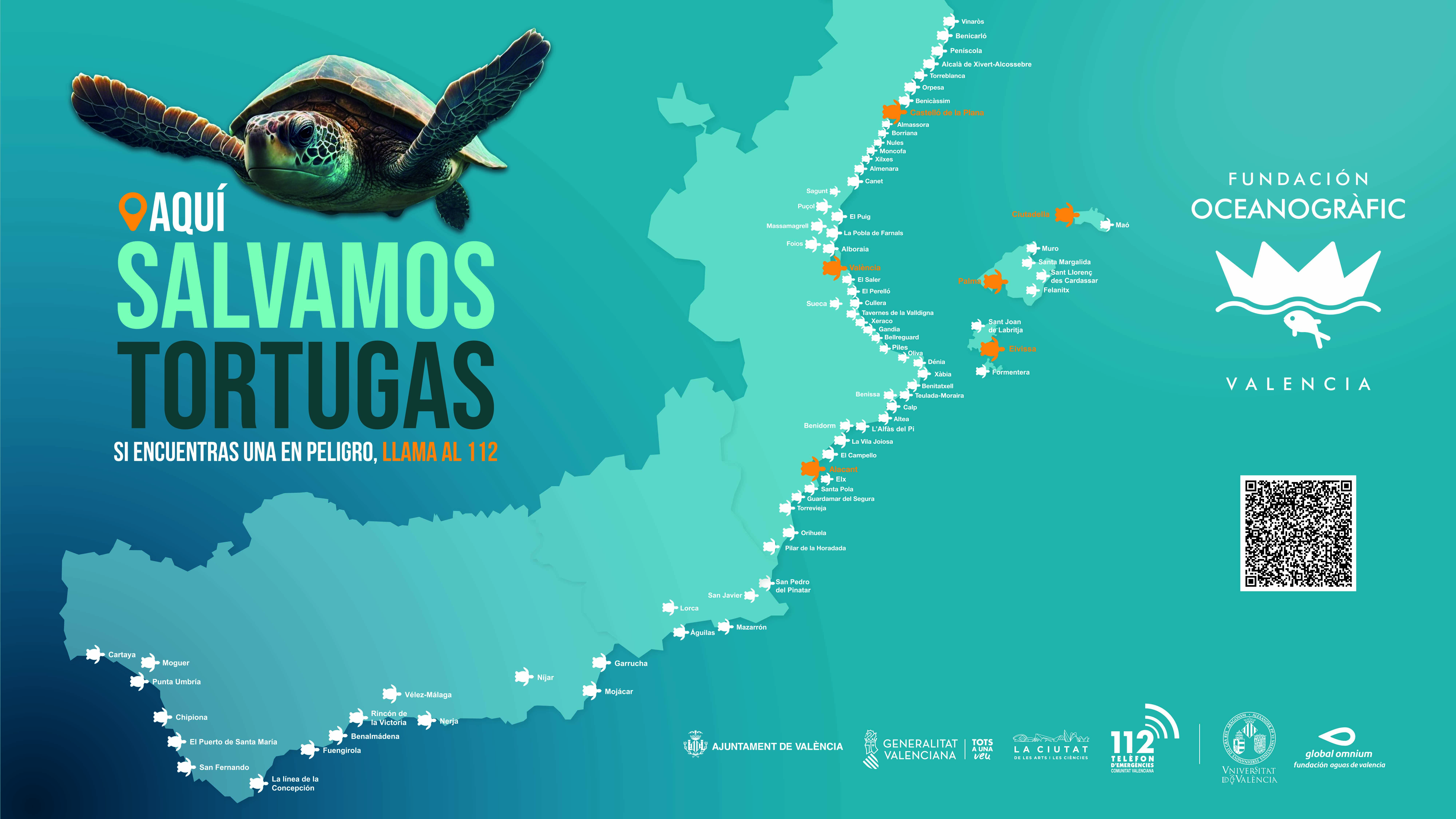 Municipios que participan en la campaña de este año, con el lema 'Aquí salvamos tortugas'. Foto: Fundación Oceanogràfic