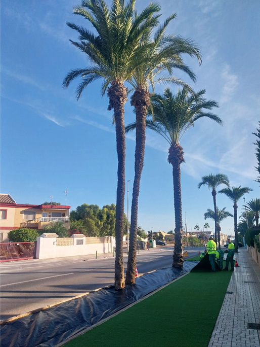 Instalación de césped artificial en Cabo de Palos. Foto: Procabo
