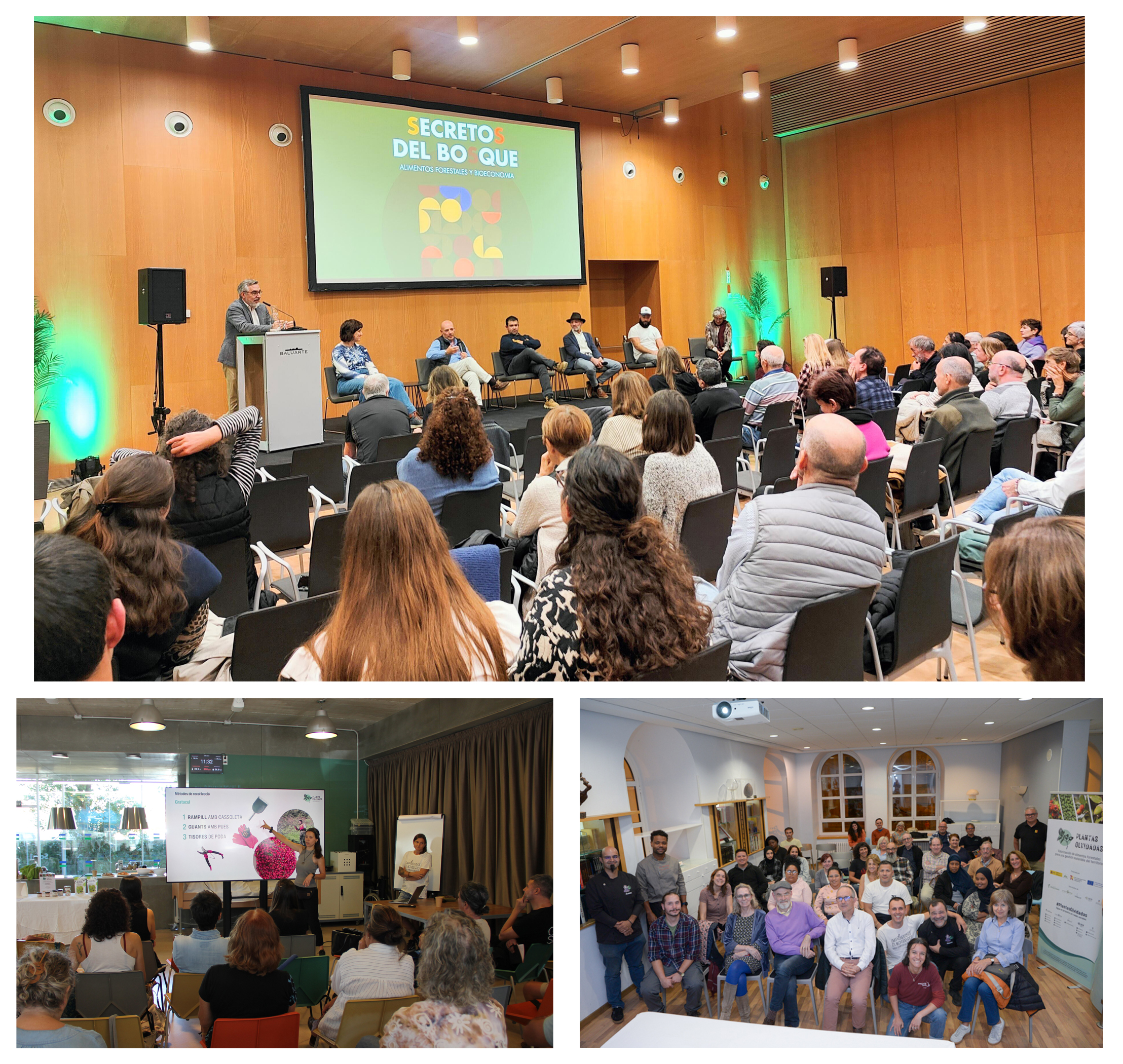 Varios momentos de encuentros realizados en Pamplona, Teruel y Mallorca. Fotos: Proyecto Plantas Olvidadas