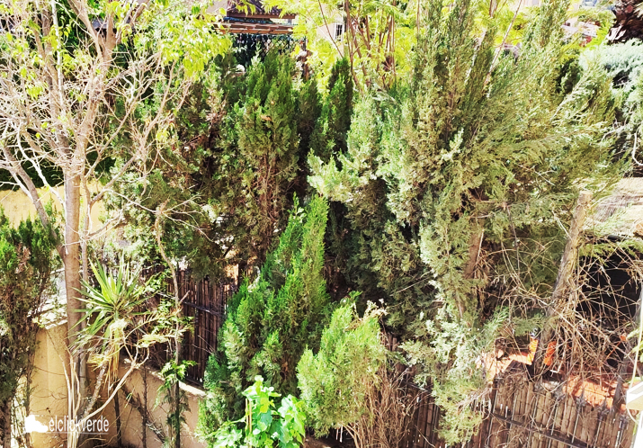 Ahí dentro está el nido