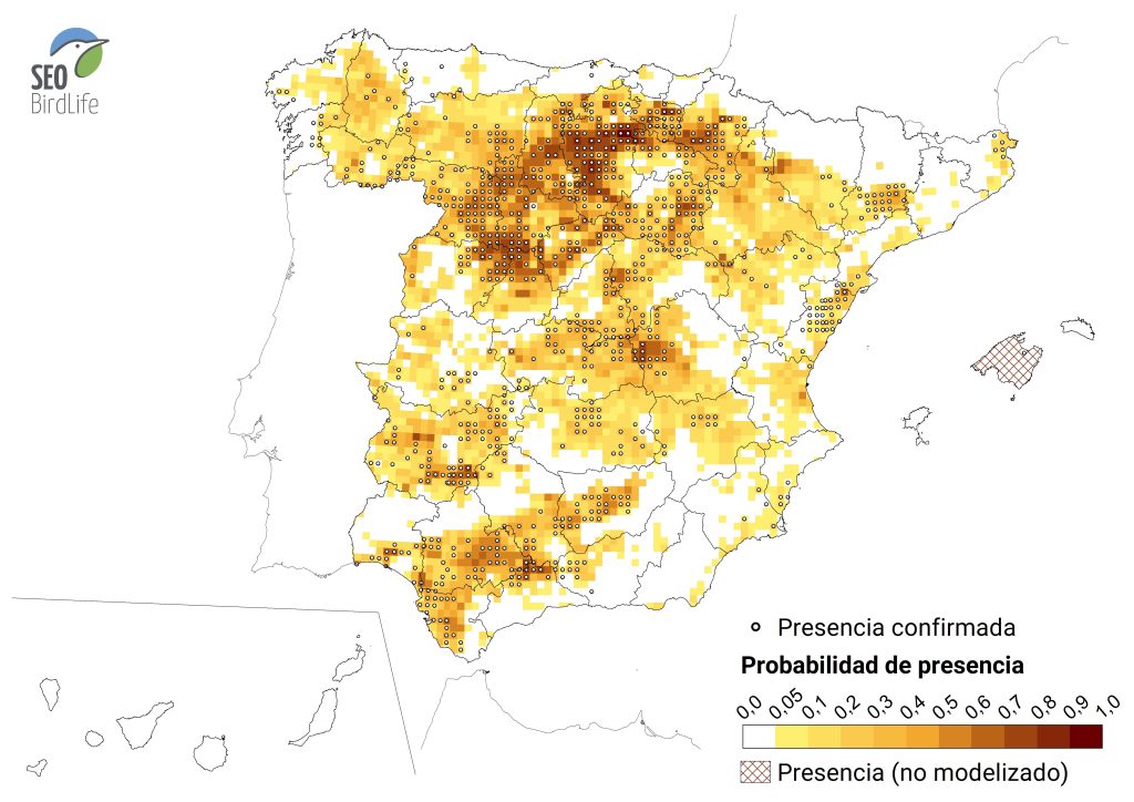 Distribución del aguilucho cenizo en la península Ibérica. Fuente: SEO/BirdLife