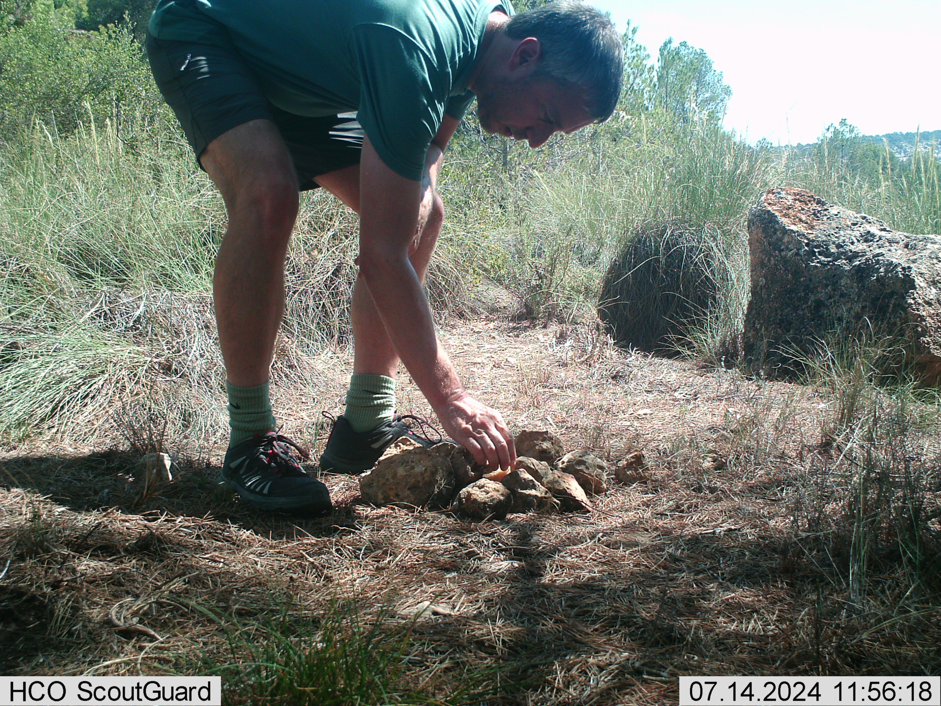 Colocación del cebo para atraer a la especie. Foto: ANIDA YECLA