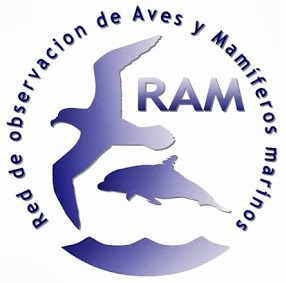ram_logo.jpg
