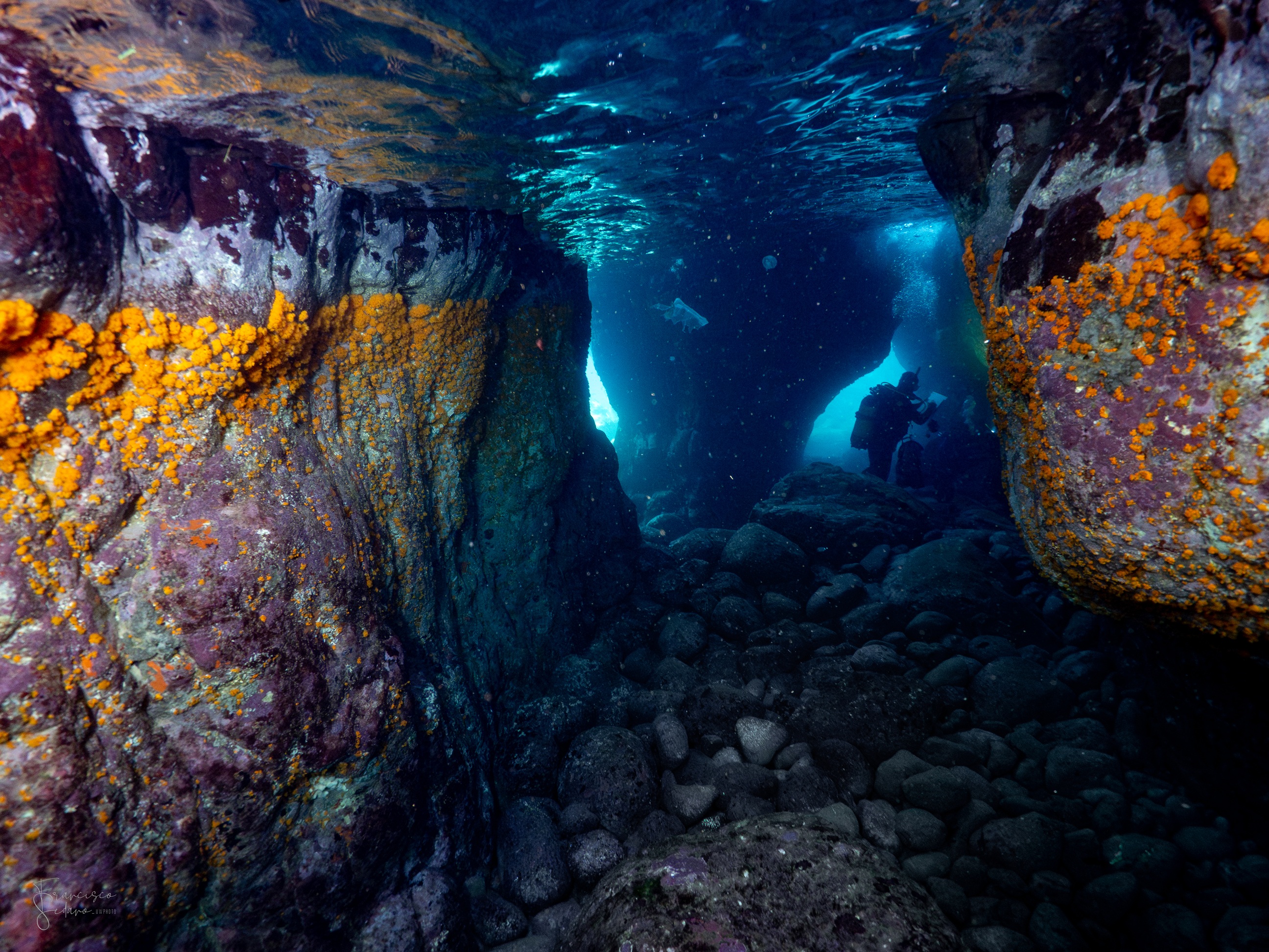 Interior de una cueva examinada. Foto: IEO-CSIC. Interior de una cueva examinada. Foto: IEO-CSIC