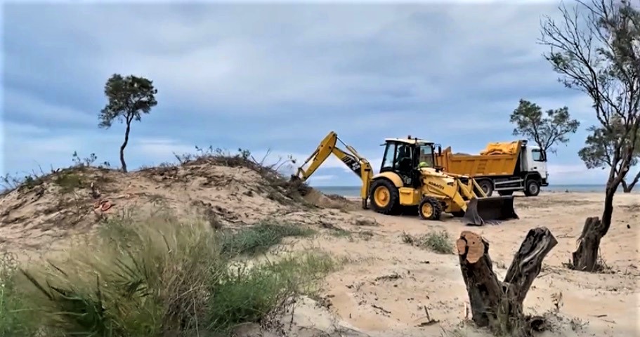 Destrucción del hábitat del chorlitejo patinegro en las dunas de Denia (Alicante). Imagen: Juan Carlos / Adensva