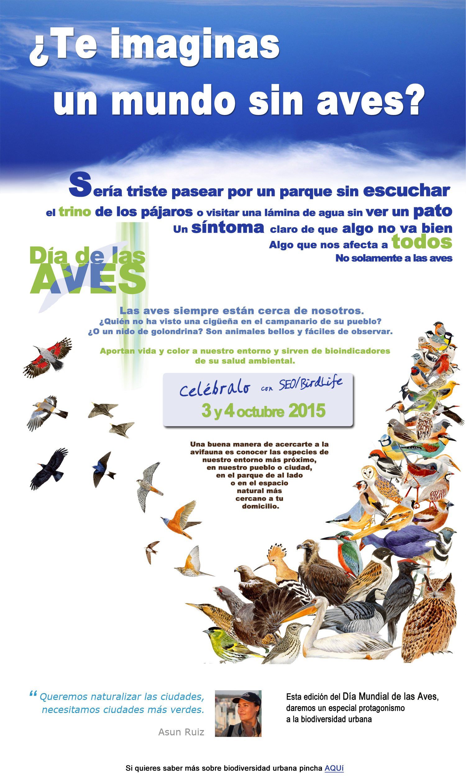 Cartel de SEO/BirdLife para este Día de las Aves 2015.