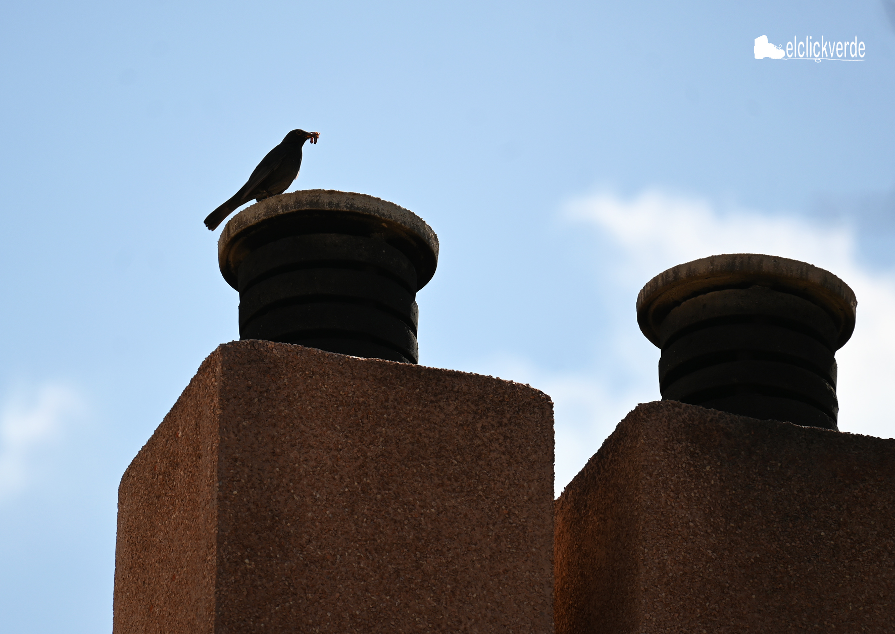 Sobre la chimenea, espera pacientemente su turno