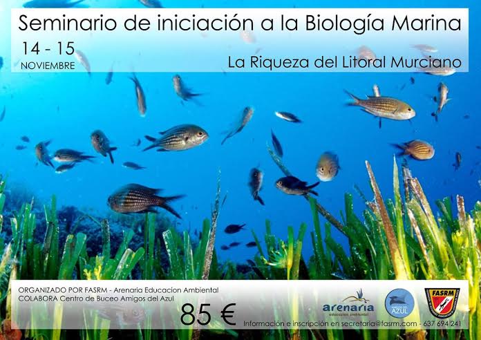 Seminario de Iniciación a la Biología Marina  con FASRM y Arenaria