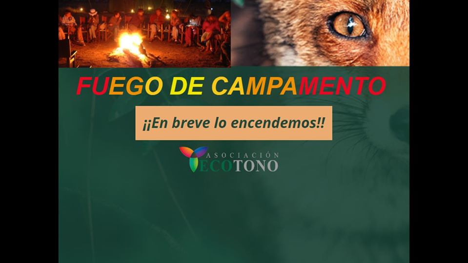 Fuego de Campamento, de Ecotono