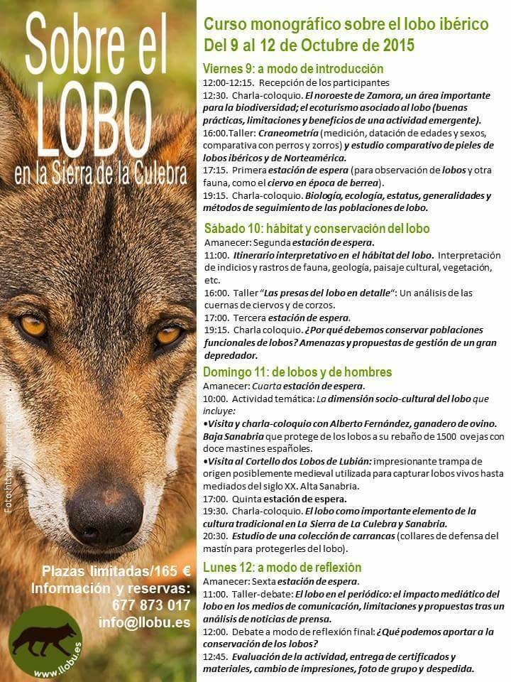 Curso sobre el lobo ibérico con Llobu Ecoturismo y Medioambiente