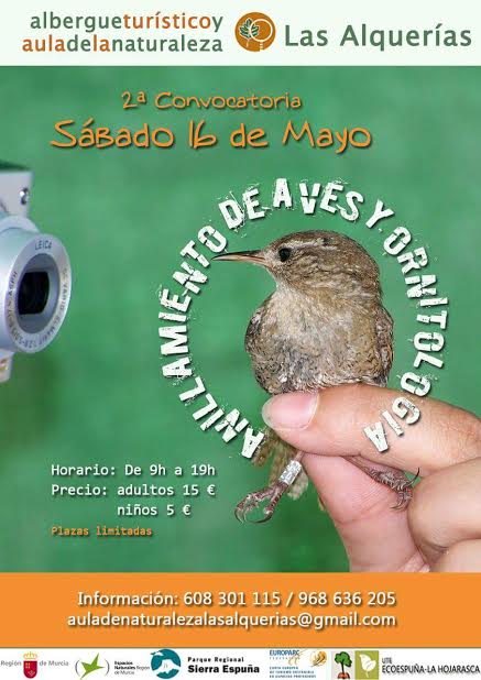 Anillamiento de aves y Ornitología en Las Alquerías