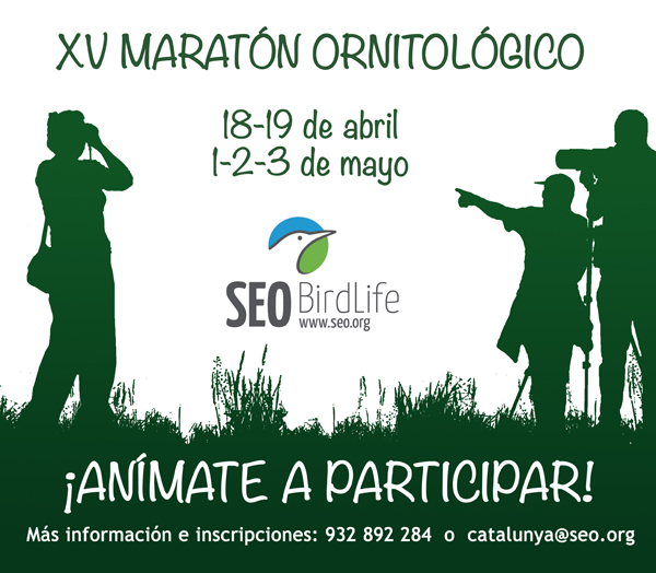 Maratón ornitológico de SEO