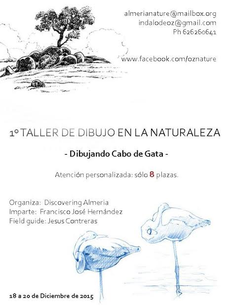 Taller de Dibujo en la Naturaleza con Discovering Almeria