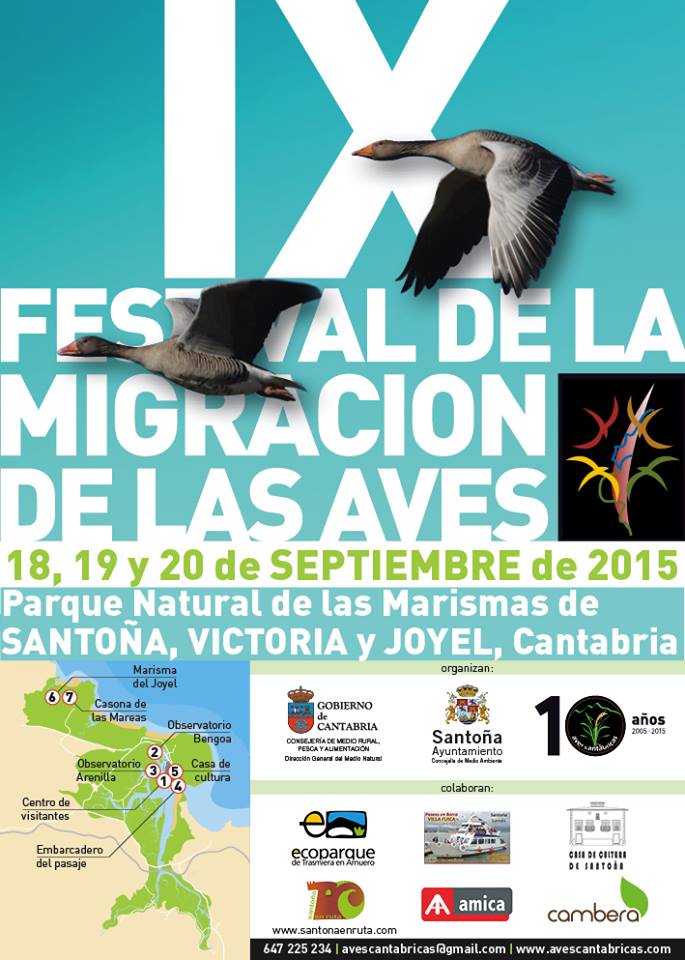 IX Festival de la Migración de las Aves en el P.N. de las Marismas de Santoña, Victoria y Joyel. Cartel