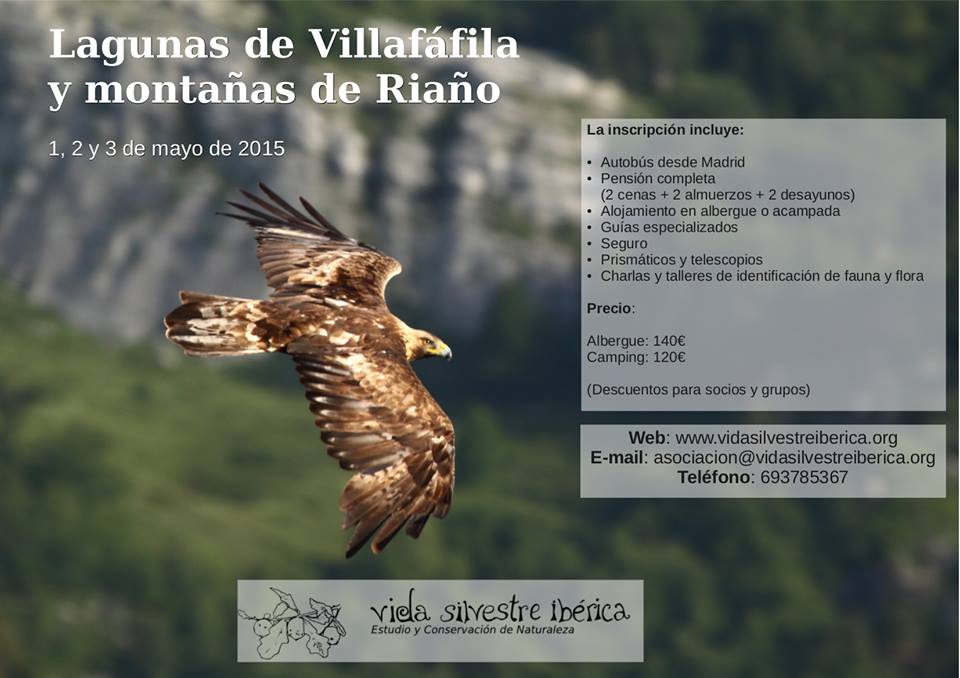 Excursión a las Lagunas de Villafáfila y montañas de Riaño con Asociación Vida Silvestre Ibérica‎