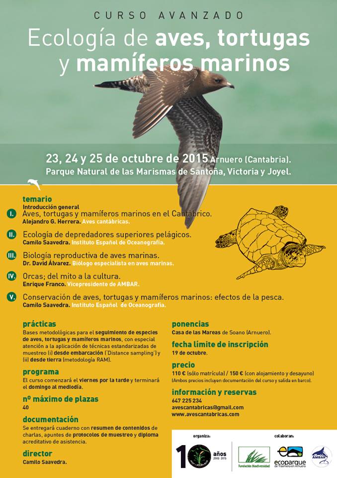 Curso 'Ecología de aves, tortugas y mamíferos marinos' con Aves Cantábricas