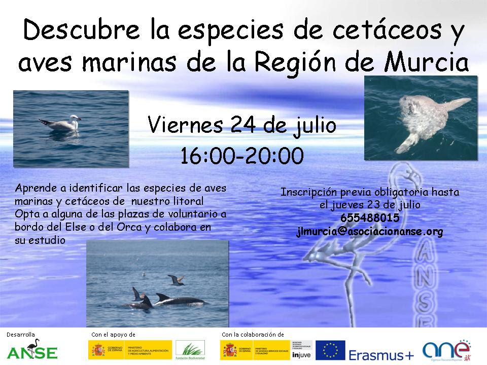 Cursillo de introducción a los cetáceos y aves marinas de la Región con ANSE