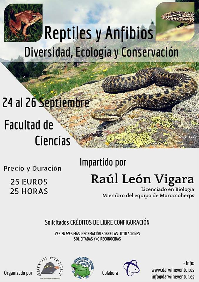 Curso sobre Reptiles y Anfibios en Granada