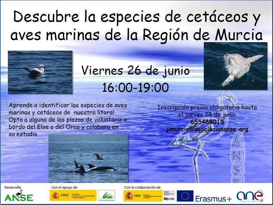 Cursillo de introducción a la identificación de cetáceos y aves marinas de la Región 