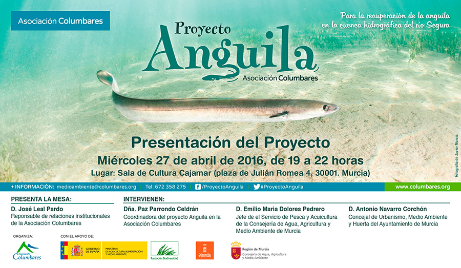 Presentación del Proyecto Anguila en Murcia con la Asociación Columbares