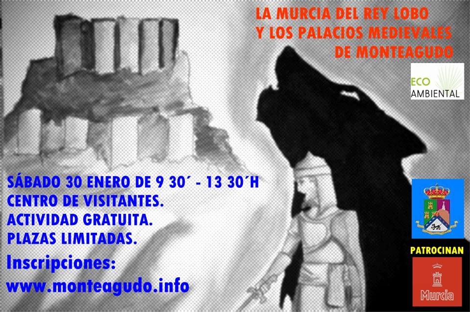 La Murcia del Rey Lobo y los palacios medievales de Montegudo, con Ecoambiental.