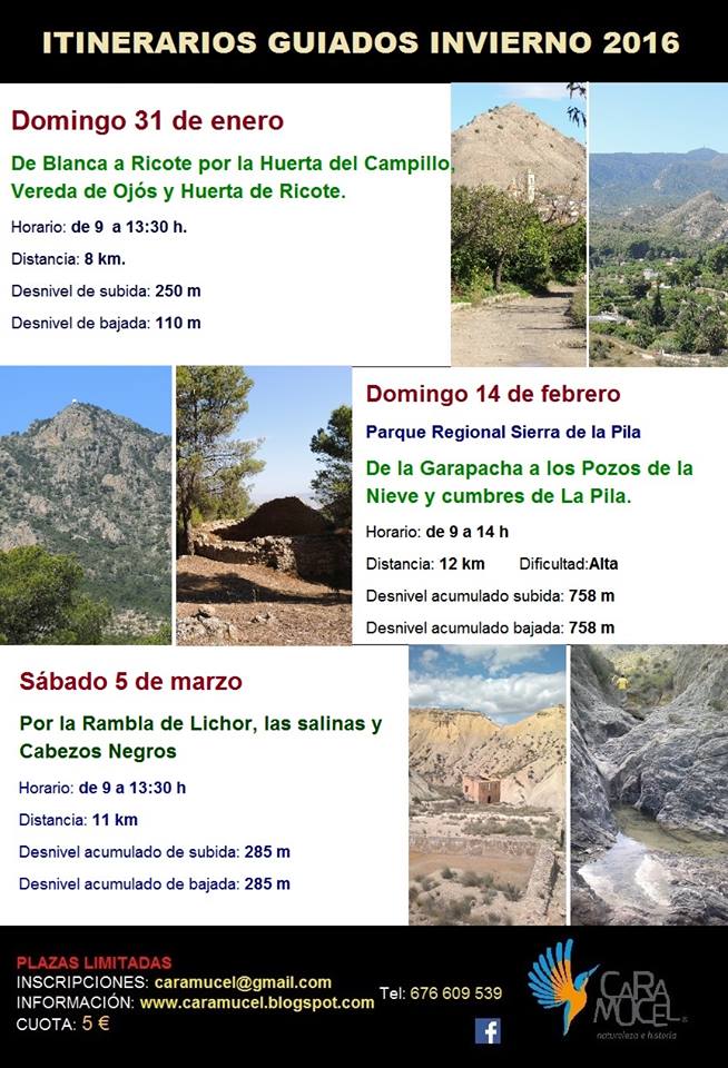 De la Garapacha a los Pozos de la Nieve y cumbres de La Pila con Caramucel, Naturaleza e Historia.