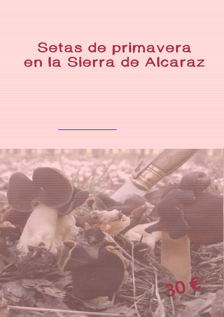 Setas de primavera en la Sierra de Alcaraz con Rockrose Ecoturismo