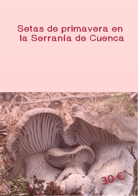 Setas de primavera en la Serranía de Cuenca de Rockrose Ecoturismo