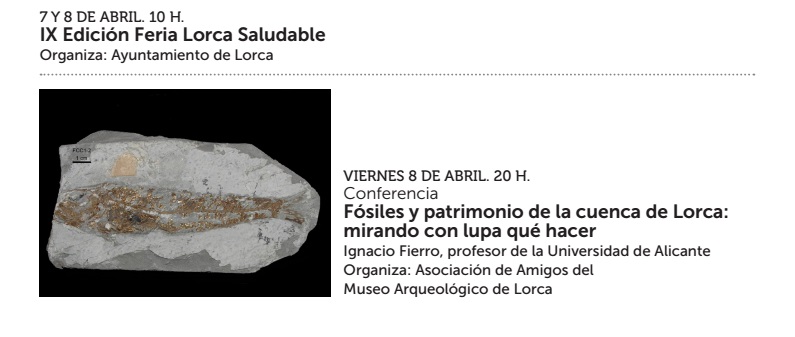 Conferencia sobre fósiles de Lorca, con la Fundación Cajamurcia.