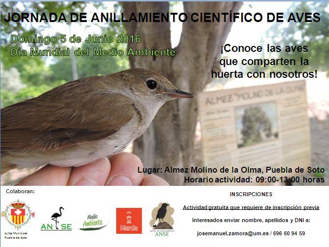Jornada de anillamiento científico de aves con José Manuel Zamora